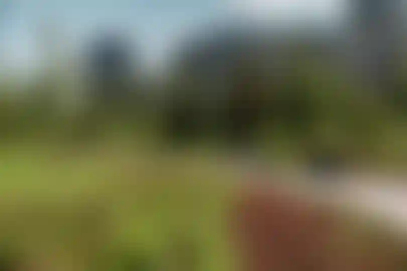 Жизнь на природе