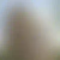 <p>Природный камень в отделке<br />
фасада</p>