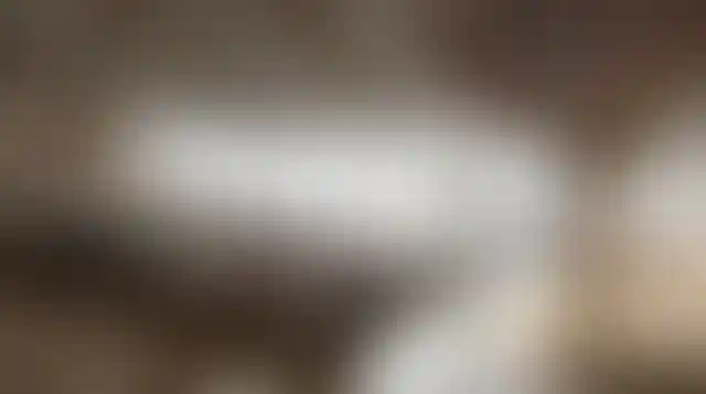 Филиал ведущего вуза