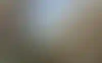 В20
