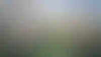 В16