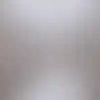 <p>Лапомойка<br />
для питомцев</p>