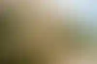 В12