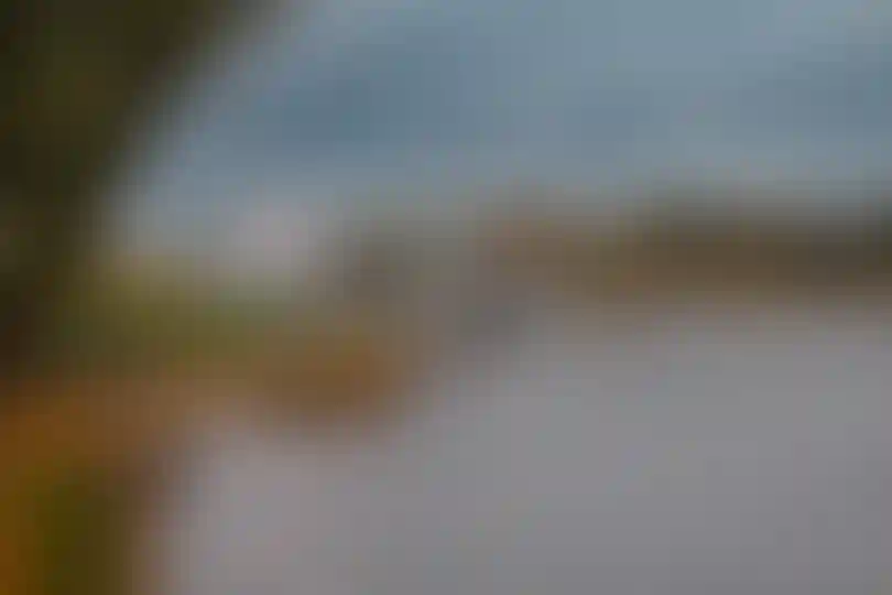 Прогулки вдоль воды