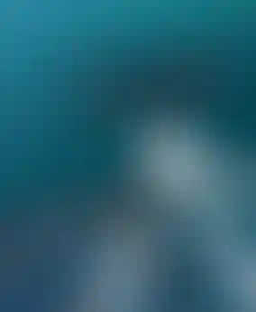 Беговые и веломаршруты