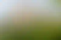 Обложка альбома