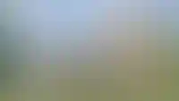 В19