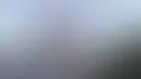 В17