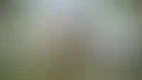 Обложка альбома