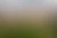 Обложка альбома