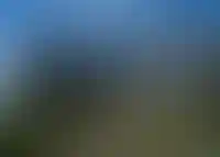 Обложка альбома