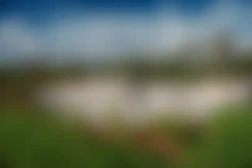 Активности для всех возрастов